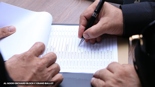 Al-Noor Orchard Block C Grand Ballot